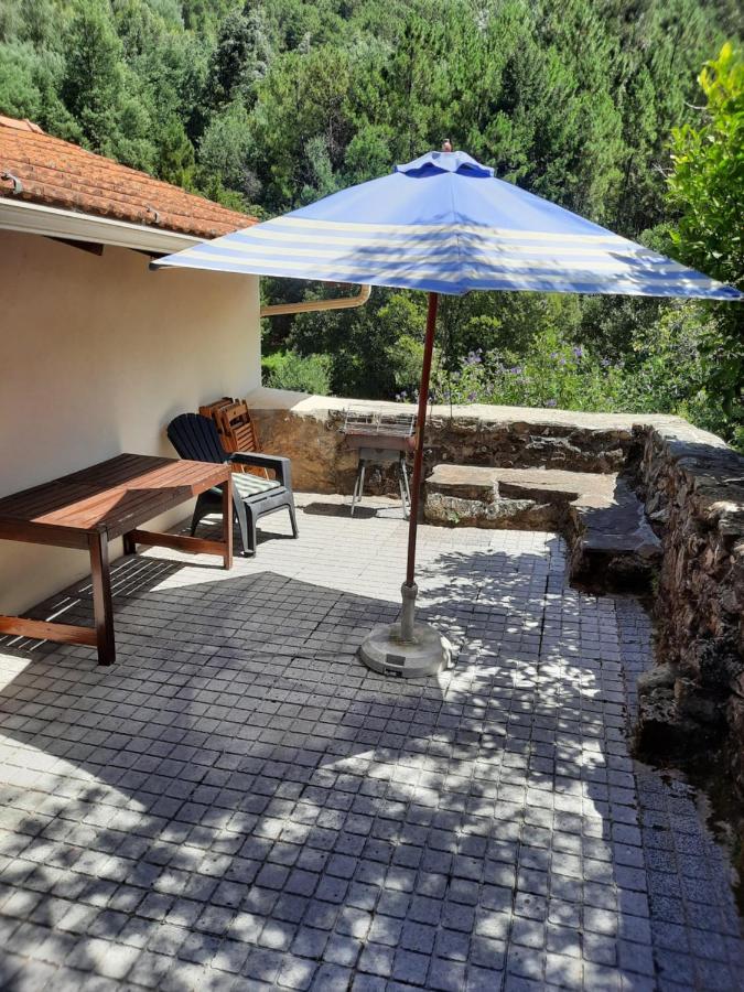 Апартаменты Casa Ribeira Coentral Das Barreiras Экстерьер фото