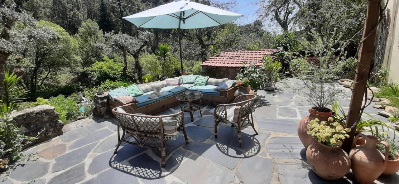 Апартаменты Casa Ribeira Coentral Das Barreiras Экстерьер фото